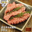 宝牧場 近江牛 特選 モモ 焼肉 300g 2人前 ～ 3人前 母の日 産地直送 冷凍肉 牛もも肉 和牛 牛もも 赤身 牛肉 冷凍 赤身 焼肉用 ブランド牛 焼き肉 柔らかい 高級肉 国産 産直 赤身肉 和牛肉 両親 プレゼント 贈り物 肉 お肉 美味しいお肉 高級 両親へのプレゼント 送料無料