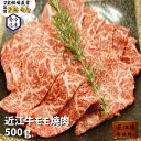 近江牛 牛もも肉 宝牧場 近江牛 特選 モモ 焼肉 500g 3人前～4人前 母の日 肉ギフト ギフト 贈答品 牛もも 高級焼き肉 黒毛和牛もも肉 和牛 牛肉 牛焼肉 赤身 もも肉 柔らかい モモ肉 産地直送 高級焼肉 産直 焼き肉 贅沢 国産 冷凍肉 冷凍 赤身肉 プレゼント 贈り物 送料無料