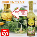 日向夏ドレッシング（ミツイシ）290ml×12本【宮崎名物】 2