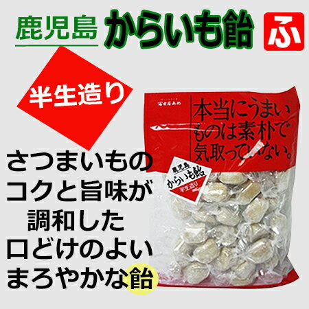 鹿児島・半生造りからいも飴（冨士屋）100g×1袋【定形外発送・代引き不可】/