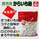 鹿児島・半生造りからいも飴（冨士屋）100g×1袋【定形外発送・代引き不可】