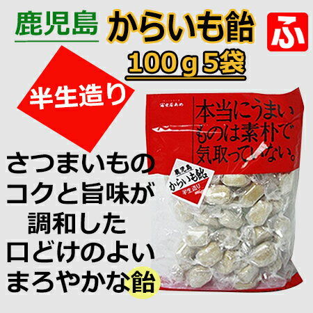 鹿児島・半生造りからいも飴（冨士屋）100g×5袋/