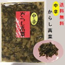 からし高菜・中辛（大薗漬物）270g×1袋【送料無料】【メール便対応】