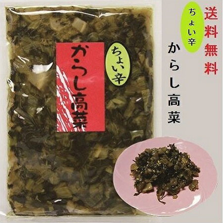 【送料無料】からし高菜・ちょい辛（大薗漬物）90g×1袋【メール便対応】