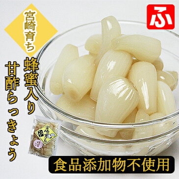 【宮崎育ち】蜂蜜入り甘酢らっきょう（大薗漬物）270g×3袋（送料無料）