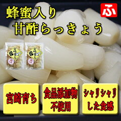 https://thumbnail.image.rakuten.co.jp/@0_mall/takarabune7/cabinet/05278302/05278312/05334352/imgrc0070019186.jpg