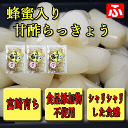 【九州育ち】蜂蜜入り甘酢らっきょう（大薗漬物）130g×3袋【送料無料】