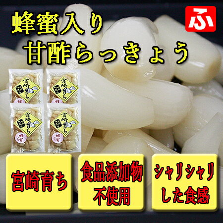 【九州育ち】蜂蜜入り甘酢らっきょう(大薗漬物)130g×4袋【送料無料】