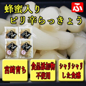 【九州育ち】蜂蜜入りピリ辛らっきょう（大薗漬物） 130g×4袋【送料無料】