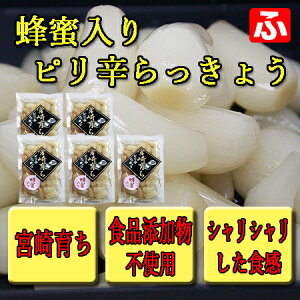 【九州育ち】蜂蜜入りピリ辛らっきょう（大薗漬物）270g×5袋