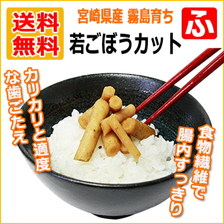 宮崎県産 霧島育ち若ごぼうカット (醤油漬け)(上沖産業)100g×6袋【送料無料】