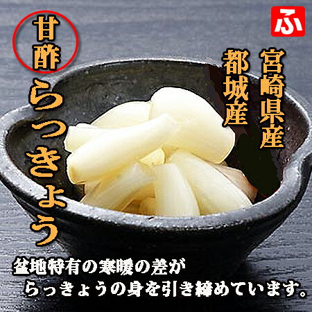 宮崎県産 甘酢らっきょう(上沖産業)130g×3袋 【送料無料】 宮崎県産 甘酢らっきょう(上沖産業)130g×3袋 【送料無料】