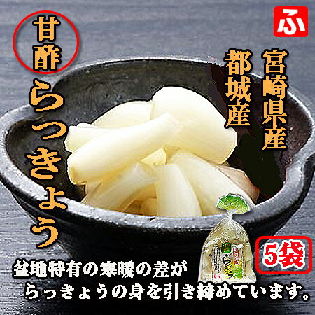 桃屋 花らっきょう 115g瓶×12個入｜ 送料無料 一般食品 瓶 らっきょう 漬物 甘酢漬