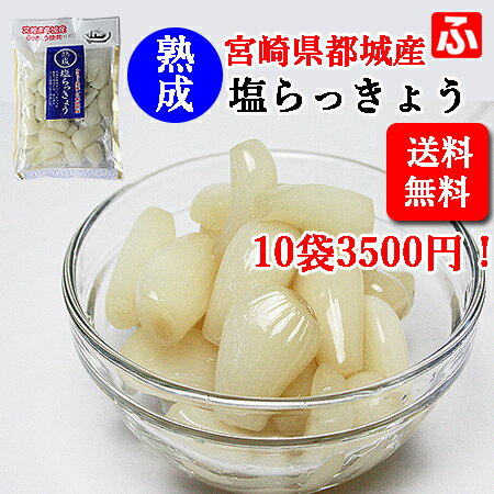 塩らっきょう（上沖産業）90g×10袋【宮崎産】【こだわりの低温熟成】【送料無料】