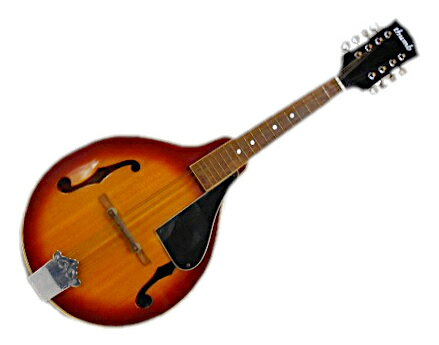 楽天市場】マンドリン(弦楽器|楽器・音響機器)の通販 楽天市場】マンドリン(弦楽器|楽器・音響機器)の通販