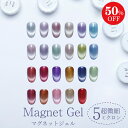 【50%OFFクーポン配布中】HEMA freeキャッツアイジェル 超微粒子5ミクロン マグネットネイル 磁石 セラミック ネイル 全23色【メール便対応】ジェ...