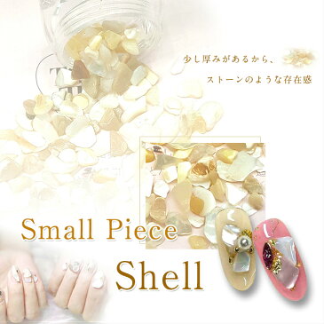【メール便対応】貝のかけら スモールピースシェル