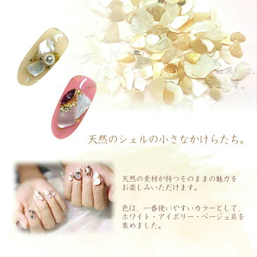 【メール便対応】貝のかけら スモールピースシェル