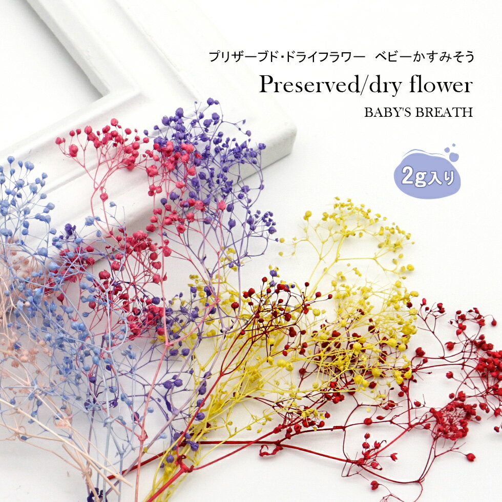 【ドライフラワー】プリザーブド ベビーかすみそう　ミニ　ベビーズブレス【メール便対応】手作りキット ハーバリウム 　ハーバリューム 　ハーバリウム専用ボールペン　レジン封入材　フラワーギフト