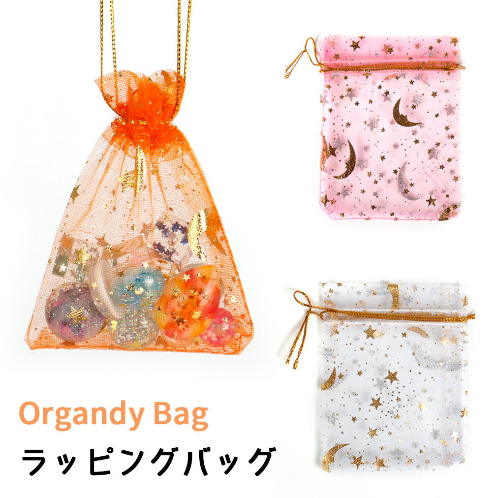 ڥåԥ󥰡ȷåԥ󥰥Хå󥸡5ڥ᡼бߥ˶