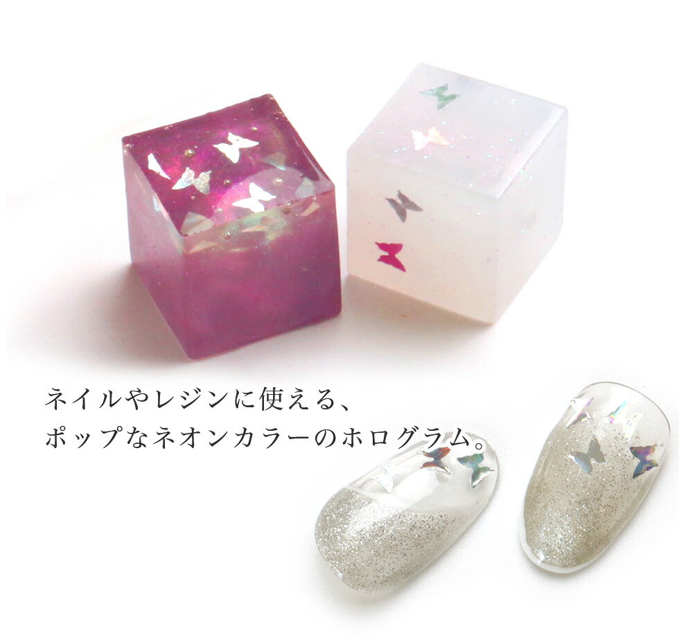 【30％OFFクーポン配布中】ネオンカラー ホログラム 12種セット 角形ケース入り 【...