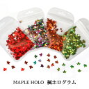 【10%OFFクーポン配布中】カエデ ホログラム 2g 楓 メープル 紅葉 もみじ リーフ 葉っぱ 虹色 キラキラ【メール便対応】レジン封入 デコパーツ ネイル ジェル セルフネイル ジェルネイル ハンドメイド アクセサリー