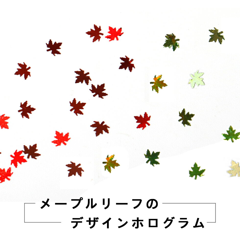 【30％OFFクーポン配布中】カエデ ホログラム 2g 楓 メープル 紅葉 もみじ リーフ ...