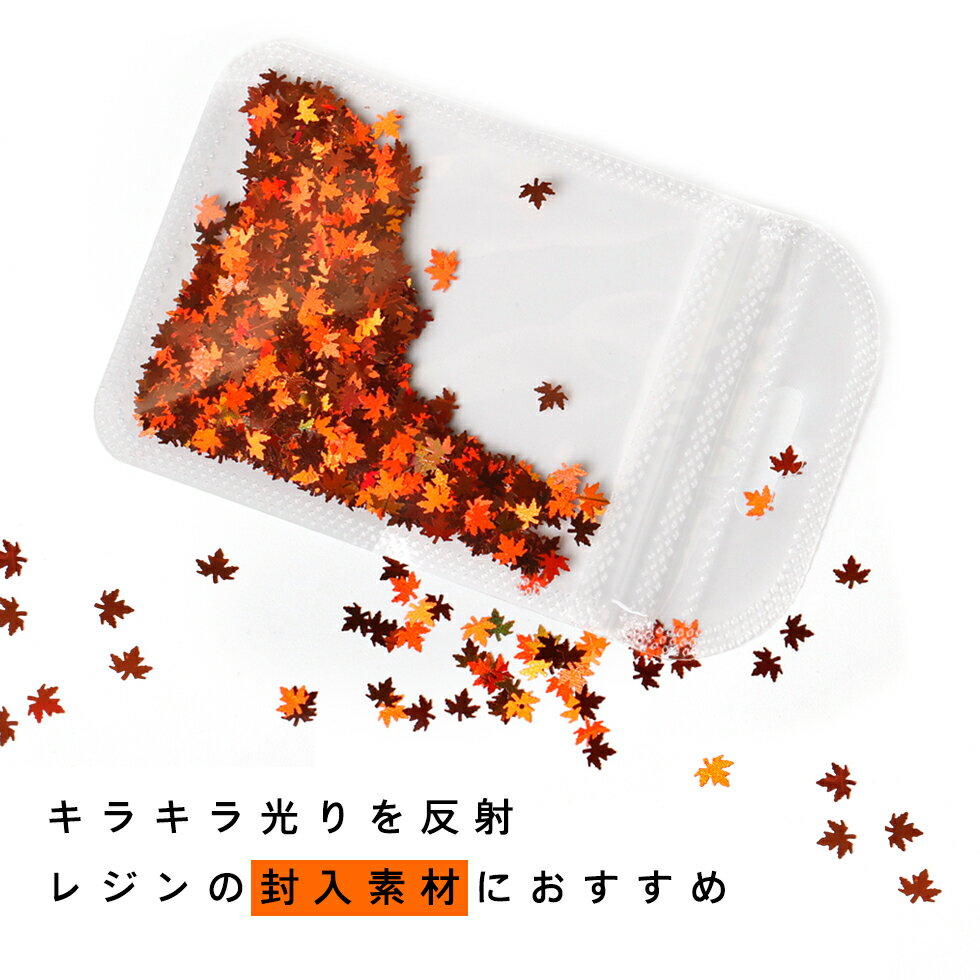 ������ �ۥ������ 2g �� �᡼�ץ� ���� ��ߤ� �꡼�� �դä� ���� ���饭��ڥ᡼�����б��ۥ쥸������ �ǥ��ѡ��� �ͥ��� ������ ����եͥ��� ������ͥ��� �ϥ�ɥᥤ�� ���������꡼