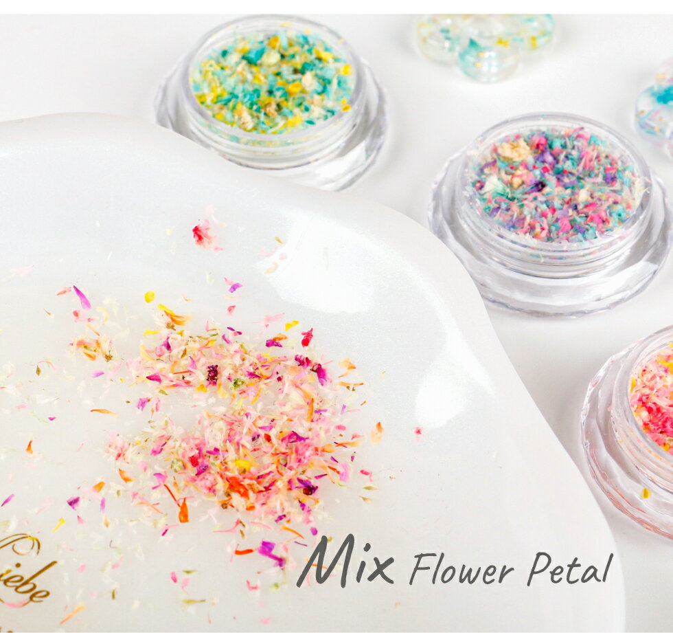 �ɥ饤�ե� �֤Ӥ� ���� 6�� ����å���ե� �ե��ѥ������ڥ᡼�����б���UV�쥸�� �쥸������ �ͥ��륢���� �ɥ饤�ե� �����֥ͥ��� �ֺ� �ѡ��� �ͥ���ѡ���