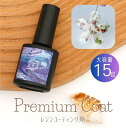 【50%OFFクーポン配布中】レジン コーティング液 A 15g プレミアム コート 刷毛付きボトル 大容量 レジン液トップコート 艶だし 修復 【メール便対応】レジン 仕上げ 保護 透明