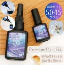 【50%OFFクーポン配布中】レジン コーティング液50g + 15g A プレミアム コート どぼん ドボン液 刷毛付きボトル 詰め替え用 大容量 レジン液 トップコート 艶だし 修復 【メール便対応】レジン 仕上げ 保護 透明