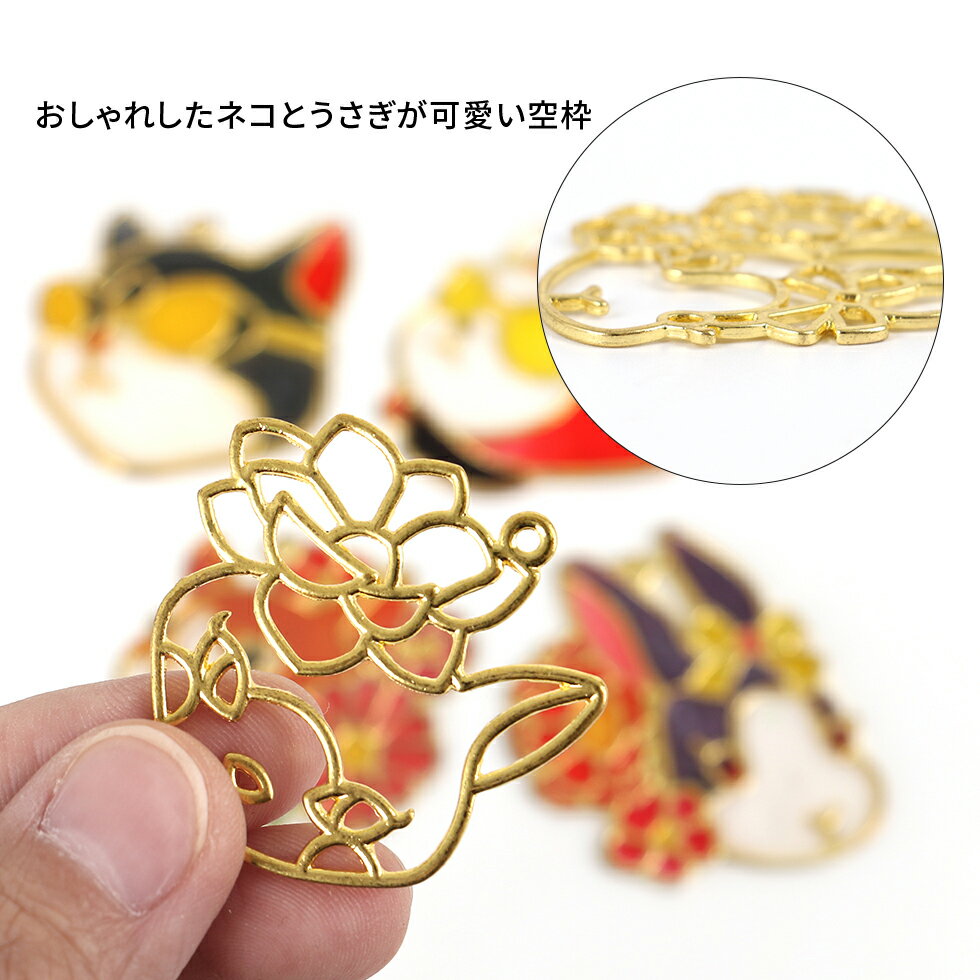 �ڶ��ȡۤ������ǭ ���إ󤦤�����5������ڥ᡼�����б��ۥե졼�ࡡ�ߡ��뻮���쥸�󥯥�եȡ��쥸���ȡ����㡼��