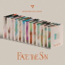 SEVENTEEN セブンティーン 4TH ALBUMCARAT ver. 4集 アルバム 韓国音楽チャート反映 PLEDIS
