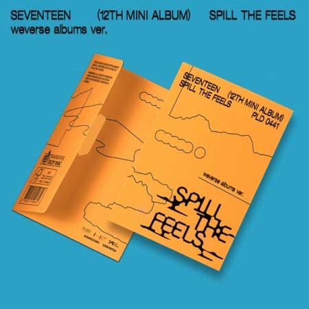 2024/10/14 ڹȯۡͽSEVENTEEN ֥ƥ 12TH MINI ALBUMSPILL THE FEELS...