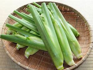 【冷蔵便】マコモタケ まこも茸 真菰筍（10〜12本）1kg まこもたけ