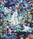 TRUMPシリーズ ミュージカル『ヴェラキッカ』 Blu-ray 通常版 （Blu-ray）(新品)