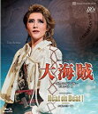 【送料無料】大海賊/Heat on Beat!-Evolution-('24年宙組)(Blu-ray Disc)(新品)