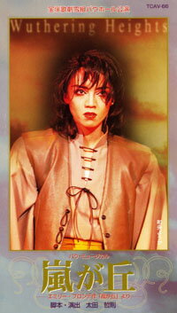 嵐ヶ丘（ビデオ）