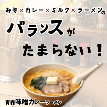 メール便送料無料 トッピング付き ご当地 ラーメン【青森味噌カレーラーメン】2食 税込1,000円 AMC-4 味噌 カレー ソウルフード お土産 土産 簡易包装【SPU ポイント最大12倍】ポイント消化 ネコポス