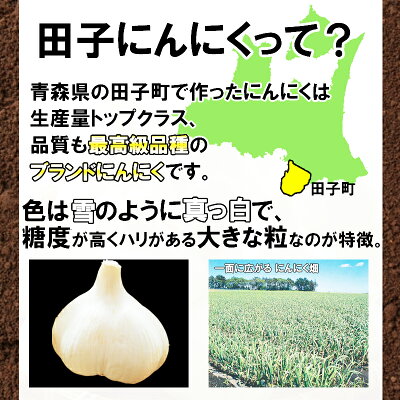 津軽こだわり麺工房 高砂 高砂食品 青森 にんにく ラーメン 醤油味 ギフト用 2食入り 半生麺 ご当地 醤油 田子町 常温 簡単調理 お取り寄せ プレゼント 画像3