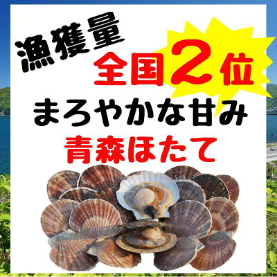 こだわり麺工房 高砂 高砂食品 青森ほたてみそラーメン 5食 半生麺 ご当地ラーメン 味噌ラーメン 乾燥わかめ付き 青森県産ほたてエキス使用 常温60日間保存 お取り寄せ 画像3