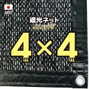 ダイオ化成 ラッセル遮光網60TH (60% 2X4m クロ) [キャンセル・変更・返品不可]