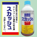 機能性展着剤　スカッシュ　500mlソルビタン脂肪酸エステル70％配合