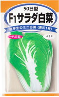 定形外郵便発送可　種子　野菜種50日型　F1サラダ白菜（4ml）極早生のミニ白菜