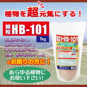 フローラ　顆粒HB-101（1kg）プロの農家さんから、家庭園芸の方まで安心して使える！有機栽培に最適