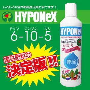 ハイポネックス　原液　450ml×2（6-10-5）水でうすめる液体肥料　家庭園芸肥料