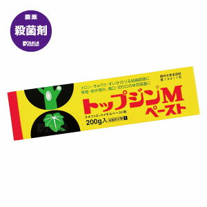 トップジンM ペースト 200g