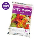 特長 ●幅広い病害を予防 りんごで10病害、みかんでは8病害に適用。野菜でも広範囲な病害防除に役に立ちます。 ●優れた製剤技術葉への付着と耐雨性に優れた製剤粒子構造のため、効果の持続力に差が現れます。 ●多彩な作物に登録広範囲な作物に登録があり、果樹や多種類の野菜などで幅広く使用されています。 【作物名】 キャベツ、はくさい、かぼちゃ、きゅうり、すいか、メロン、トマト、未成熟そらまめ、アスパラガス、いちご、たまねぎ、にんにく、ねぎ、かんきつ、みかん、かき、なし、ぶどう、りんご、もも、びわ、マンゴーなど 【適用病害】 べと病、黒斑病、白斑病、疫病、炭疽病、つる枯病、褐斑病、黒星病、褐斑細菌病、葉かび病、輪紋病、茎枯病、斑点病、じゃのめ病、さび病、灰色かび病、灰色腐敗病、白色疫病、葉枯病、赤衣病、黄斑病など 【使用方法】　水で希釈後散布（目安：500〜1000倍） ●希釈倍数、使用液量、使用時期、使用回数は作物によって異なりますので、　 ラベルをよく読みご使用ください。 【有効成分】 ・マンゼブ・・・75.0％ ・分散剤など・・・25.0％ 【性状】　類白色水和性粉末 【内容量】　1kg ●ラベルをよく読む。 ●記載以外には使用しない。 ●小児の手の届く所には置かない。 ●使用量に合わせ薬液を調製し、使いきる。 ●空袋は環境に影響を与えないよう適切に処理する。 ※最新の登録情報はメーカーサイトをご参照ください。☆保護力が自慢の総合病害殺菌剤☆