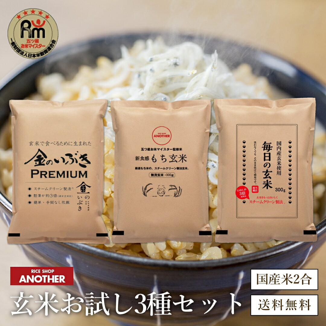 玄米 300g ×3袋 900g 金のいぶき もち玄米 毎日の玄米 3種 お試し セット | 玄米 無洗米 1000円 ポッキリ 食べ比べ 国内産 米 お米 国産米 お取り寄せ グルメ 国産 農家 美味しい 健康 おすすめ 円 送料無料 ダイエット 糖質 簡単のサムネイル