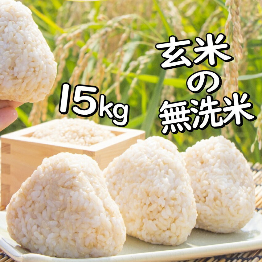 玄米 5kg ×3袋 送料無料 毎日の玄米さん 米 15kg 健康 玄米 無洗米 こめ コメ 国産米 厳選 美味しい お米 人気のサムネイル